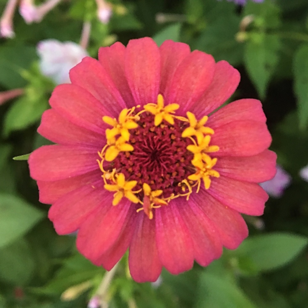 Meet your Posher, Jillian